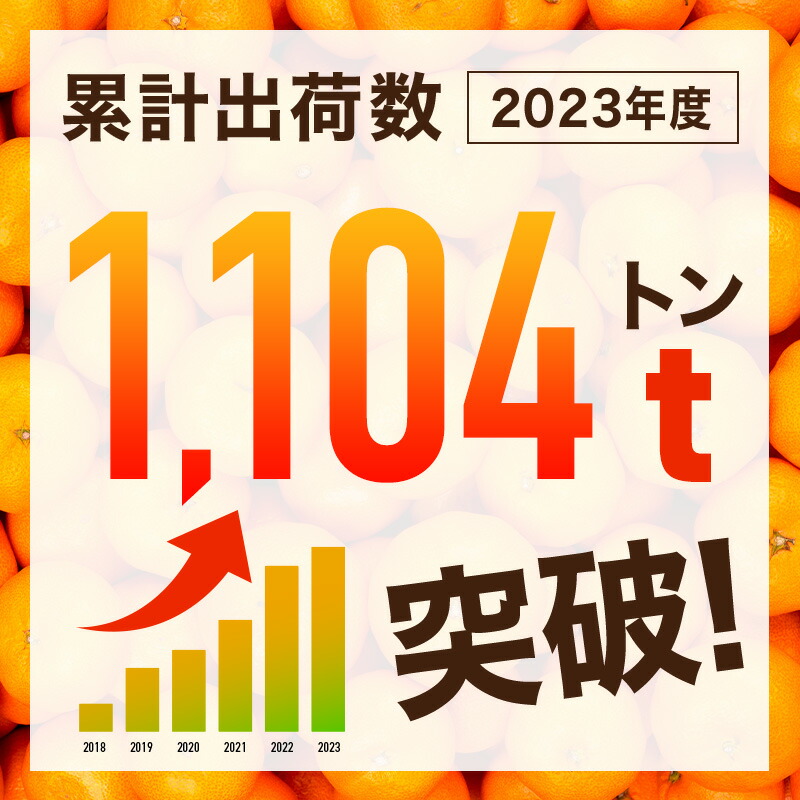 【送料無料】【訳あり】[超わけあり] 有田みかん