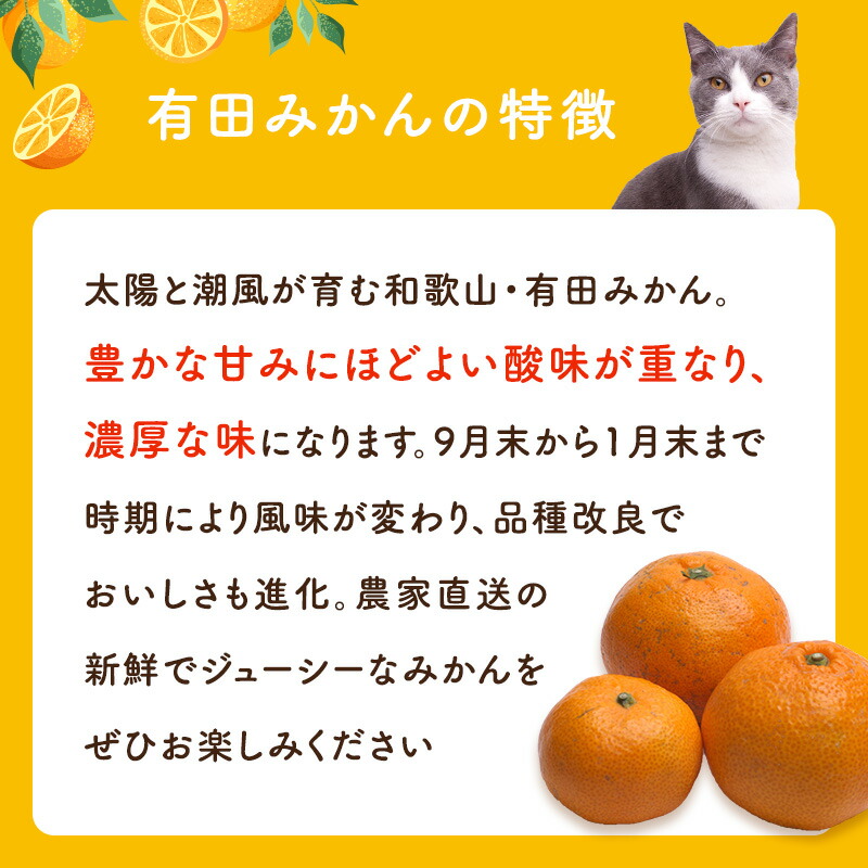【送料無料】【訳あり】[超わけあり] 有田みかん