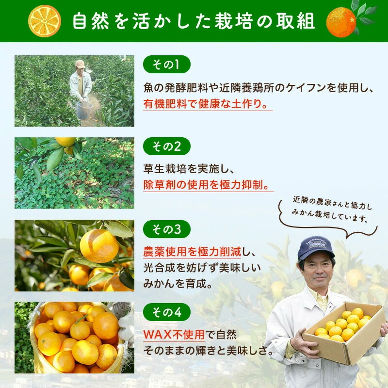 【送料無料】【訳あり】[超わけあり] 有田みかん