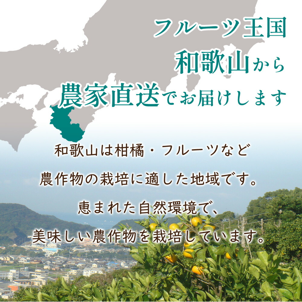 ルーツ王国和歌山県　恵まれた自然環境で栽培しています