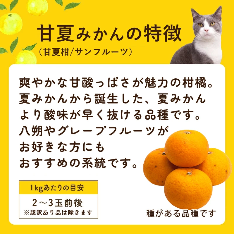 訳あり 甘夏みかん 1kg〜10kg 送料無料 和歌山産 甘夏柑 あまなつ 柑橘 サンフルーツ 産地直送 お得 家庭用