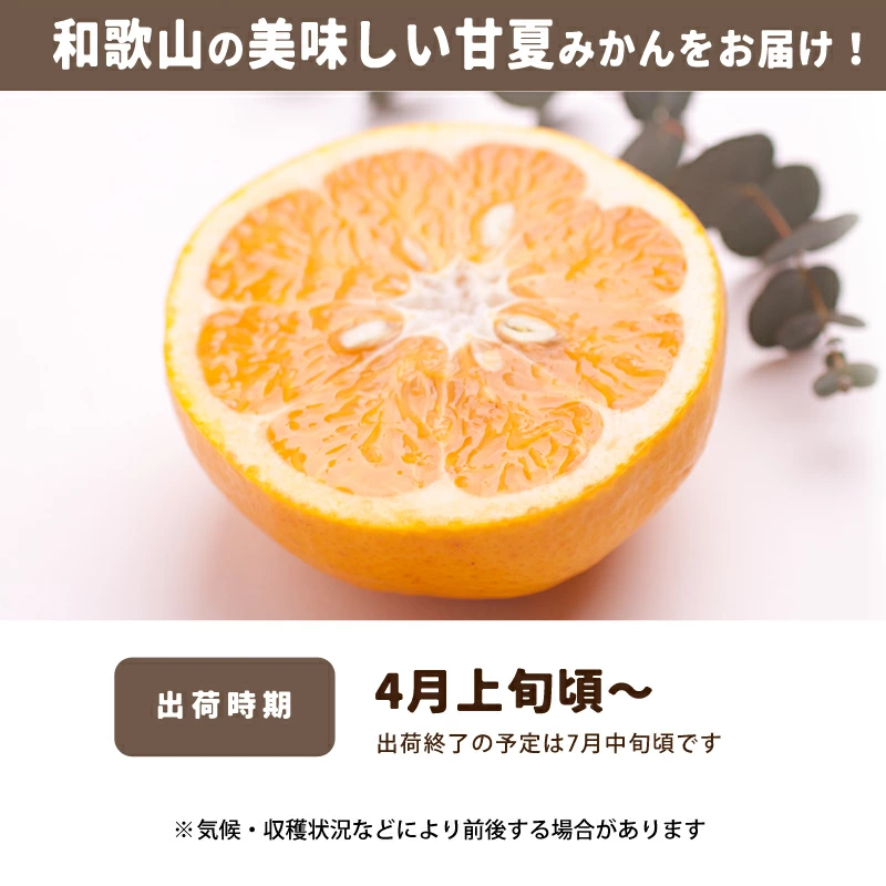 訳あり 甘夏みかん 1kg〜10kg 送料無料 和歌山産 甘夏柑 あまなつ 柑橘 サンフルーツ 産地直送 お得 家庭用