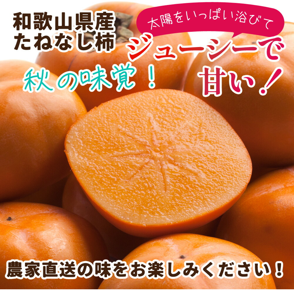 送料無料！特選 和歌山県産 たねなし柿 