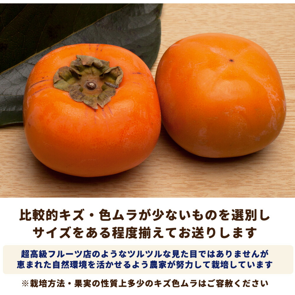 送料無料！特選 和歌山県産 たねなし柿