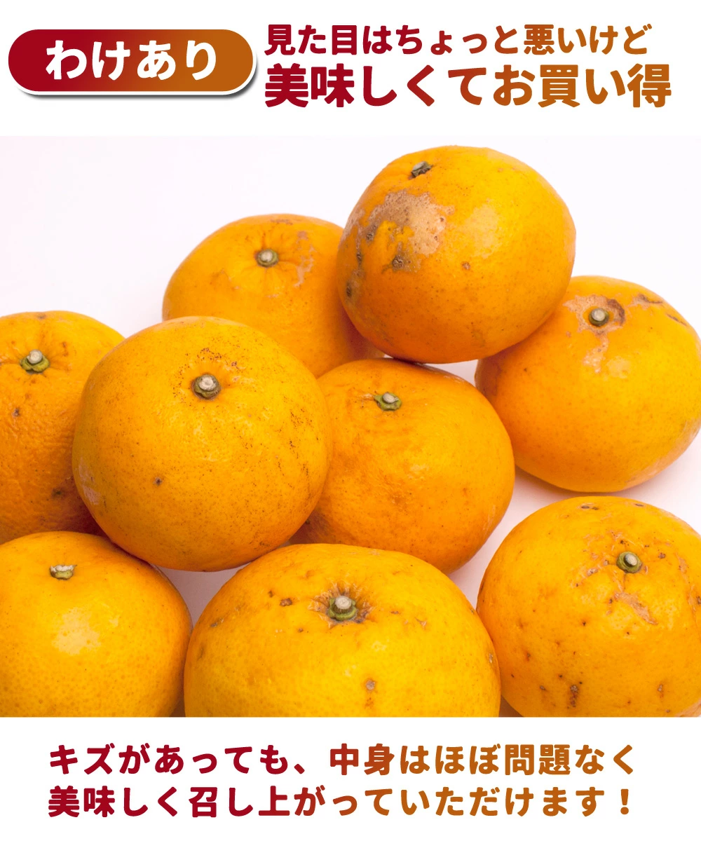 訳あり 甘夏みかん 1kg〜10kg 送料無料 和歌山産 甘夏柑 あまなつ 柑橘 サンフルーツ 産地直送 お得 家庭用