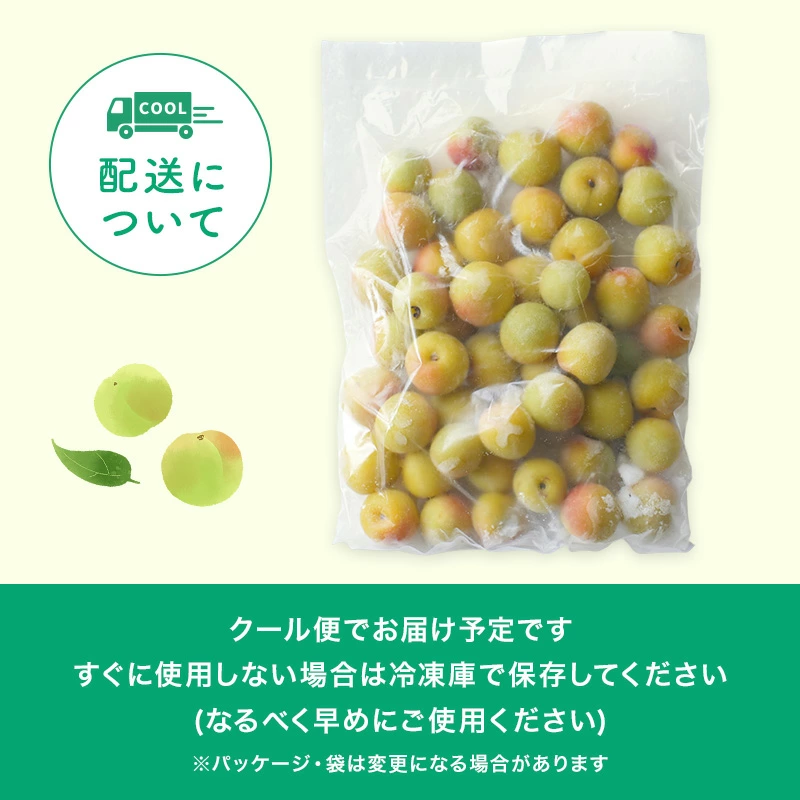 訳あり 紀州 南高梅 冷凍梅 0.5kg ／ 送料無料 和歌山産 産直 冷凍