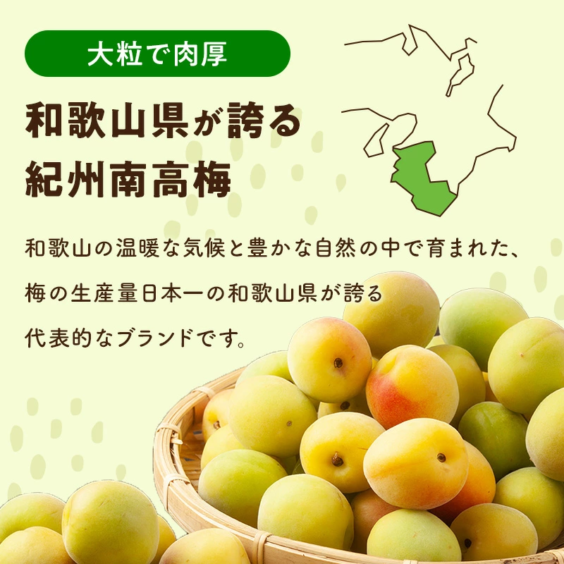 訳あり 紀州 南高梅 冷凍梅 0.5kg ／ 送料無料 和歌山産 産直 冷凍