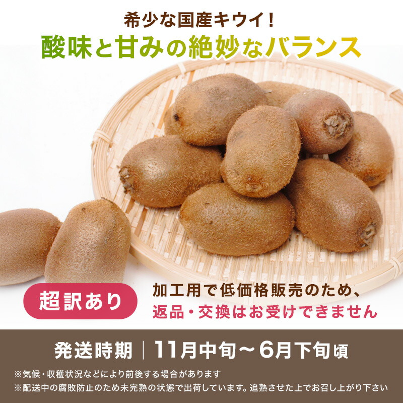 【送料無料】【超訳あり】[超わけあり]キウイフルーツ