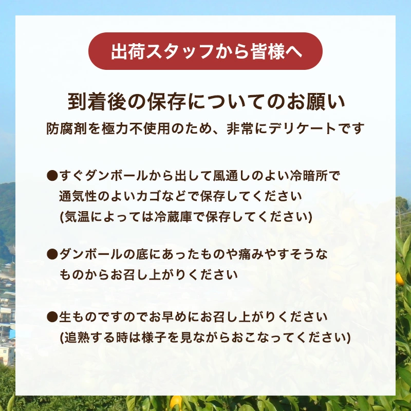 訳あり 甘夏みかん 1kg〜10kg 送料無料 和歌山産 甘夏柑 あまなつ 柑橘 サンフルーツ 産地直送 お得 家庭用