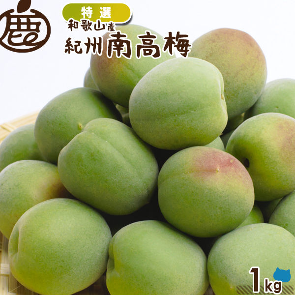 [特選] 紀州 南高梅 1kg 【 送料無料 KS 青梅 梅干し用 梅酒の梅 梅酒用 ジャム シロップ ジュース 産地直送 】
