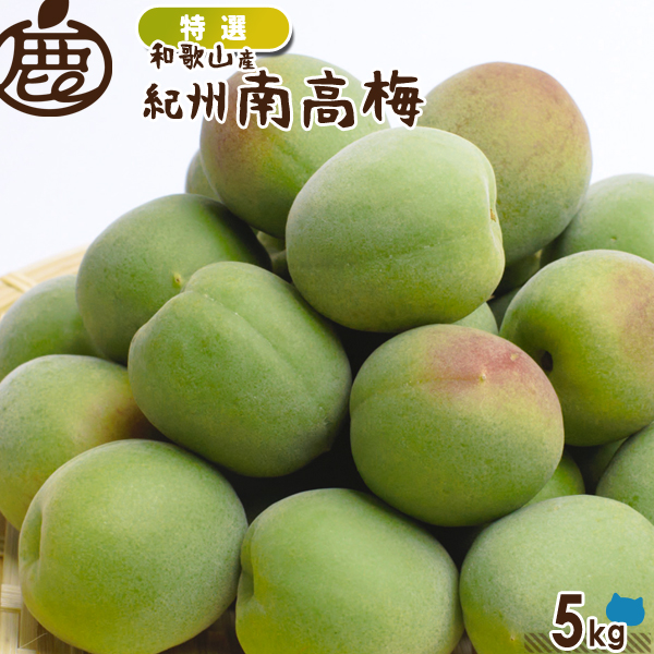 [特選] 紀州 南高梅 5kg 【 送料無料 KS 青梅 梅干し用 梅酒の梅 梅酒用 ジャム シロップ ジュース 産地直送 】