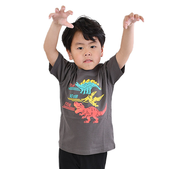 RESULT 子供服 tシャツ 男の子 恐竜 プリントTシャツ キッズ