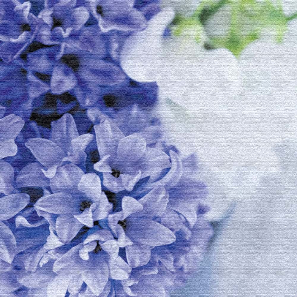 絶品 ウォールアート 57cm 57cm Lサイズ 写真 花 アート 雑貨 アートデリ 竹内陽子のウォールデコ 壁掛け リビング 寝室 玄関 モダン おしゃれ ファブリックパネル Pathwaysfl Org
