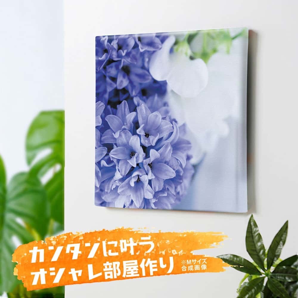 絶品 ウォールアート 57cm 57cm Lサイズ 写真 花 アート 雑貨 アートデリ 竹内陽子のウォールデコ 壁掛け リビング 寝室 玄関 モダン おしゃれ ファブリックパネル Pathwaysfl Org