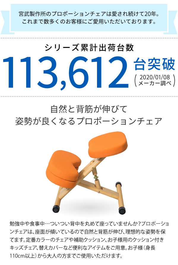 送料無料 バランスチェアー プロポーションチェア オフィスチェア 姿勢