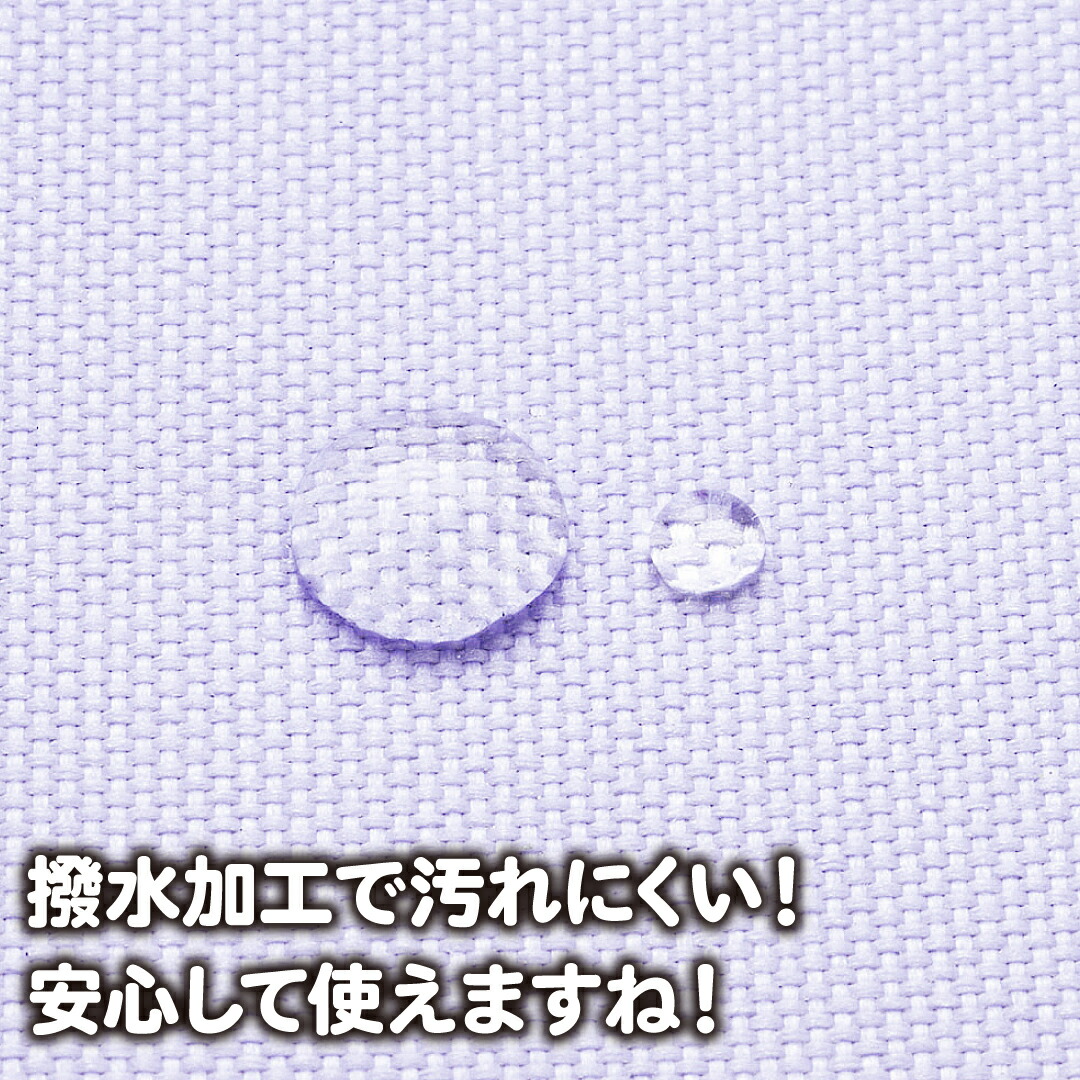 絵の具セット 小学校 呉竹 ラベンダー×レインボー ブラック 小学生