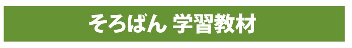 ケース付き（赤チェック女の子用）23桁そろばん送料無料