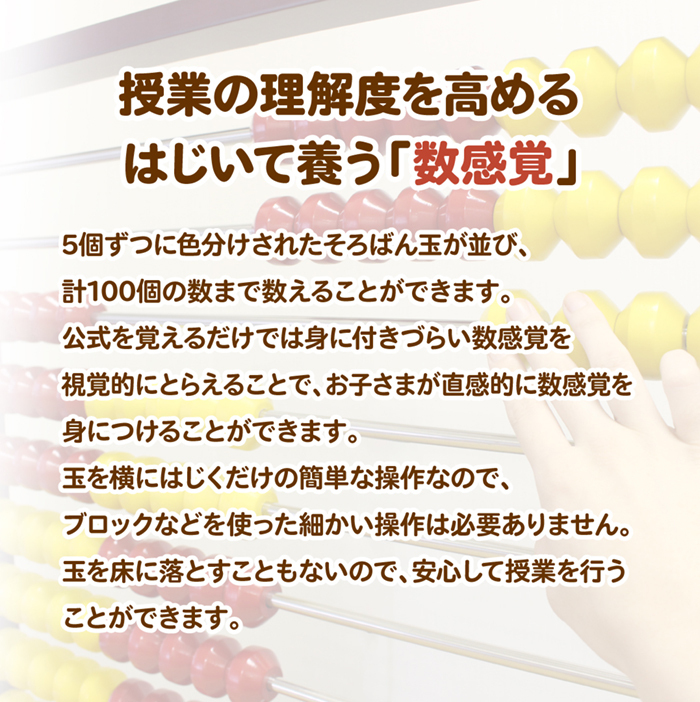 教授用カラー100玉そろばん収納ケース付き 送料無料 100玉そろばん