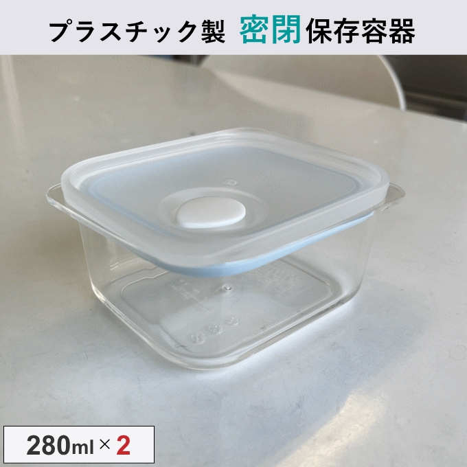 保存容器 280ml 2個 セット プラスチック 密閉 耐熱 日本製 電子