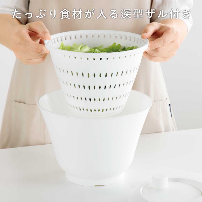 最新発見 r-0501_15.jpg ボールクリーナー