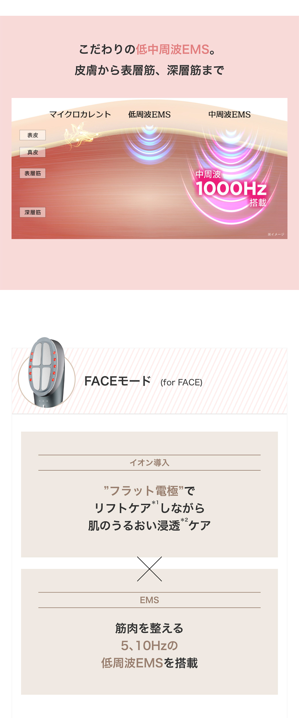 希少稀な EMS ブラシ 美顔器 / 【新商品】 myse リフトケア 頭筋 頭皮 指輪・リング
