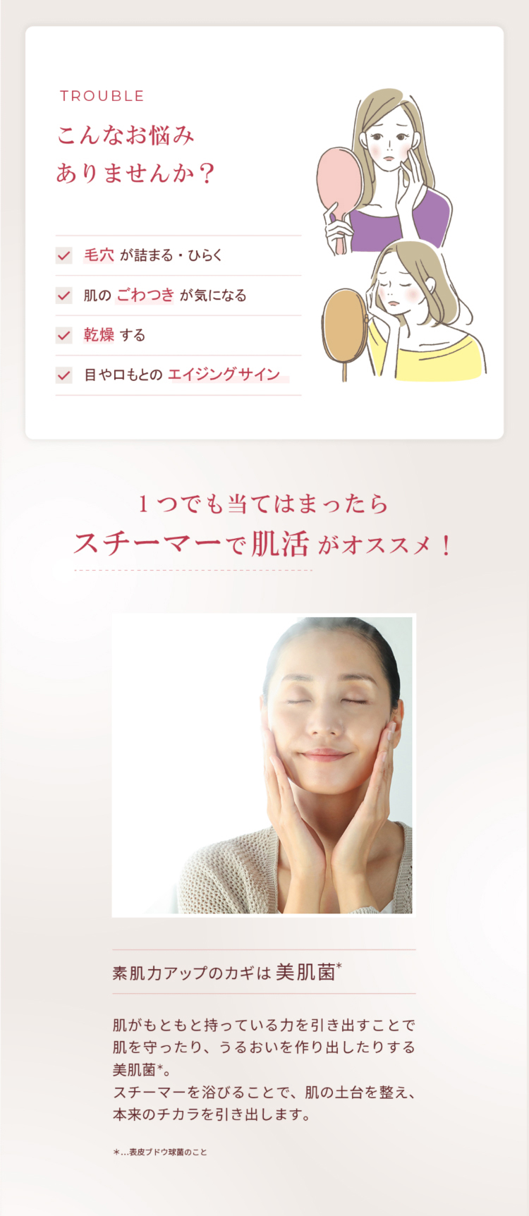 YA‐MAN（ヤーマン） 【18,700円OFF】 スチーマー 美顔器スチーマー