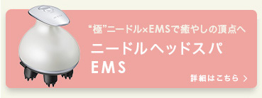ˡɥإåɥEMS