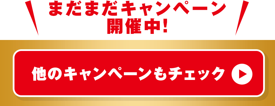 ヤーマン公式ショップ Yahoo!店 年末プレミアム会員セール