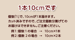 10cm　1本入りパックでのお届けとなります。