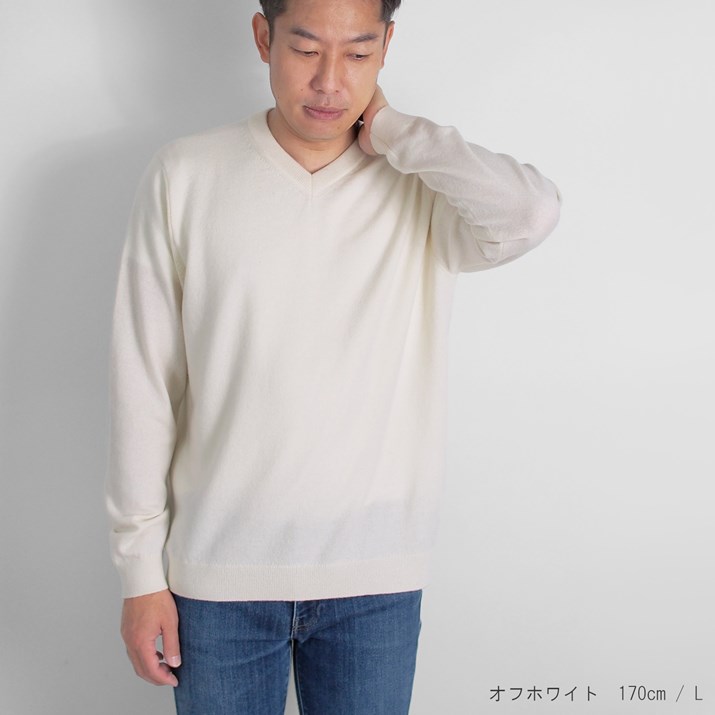 カシミヤ 100％ メンズ Vネックセーター M L LL 日本製 ニット 