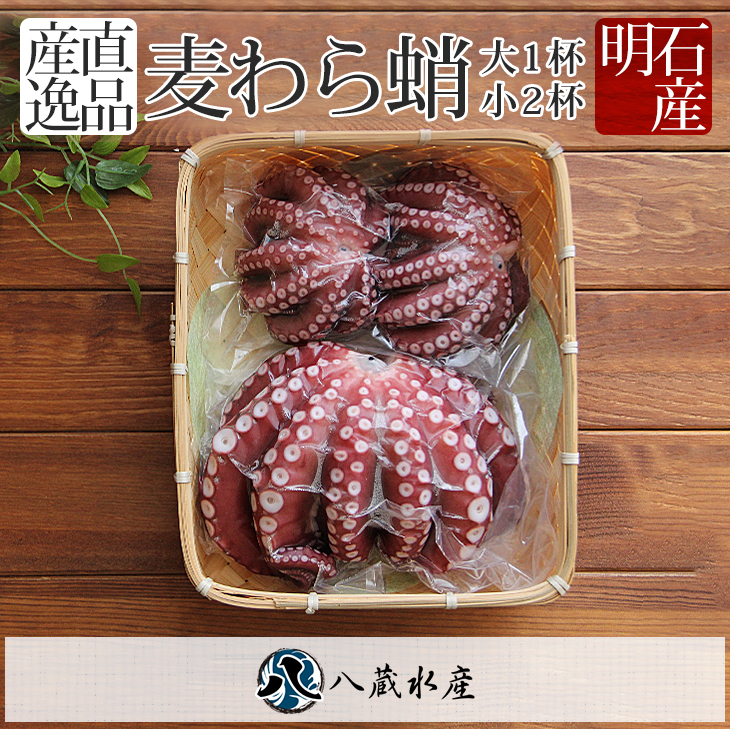 八蔵水産 Yahoo!店 - Yahoo!ショッピング