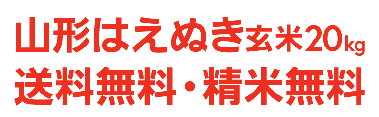 山形はえぬき玄米20kg送料無料・精米無料