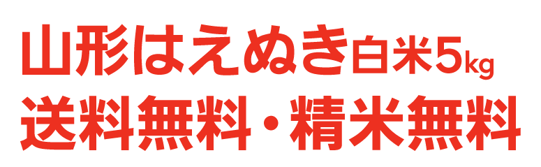 山形はえぬき白米5kg送料無料・精米無料