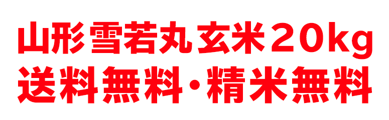 山形雪若丸玄米20kg送料無料・精米無料