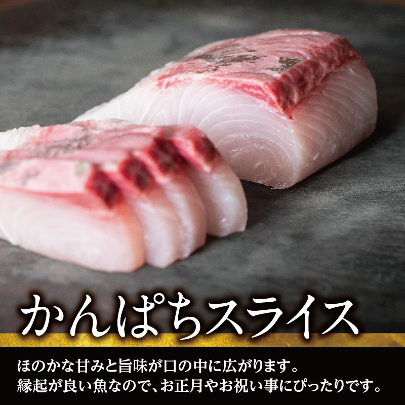 団らん寿司セット お鮨 スシ 本鮪 中とろ サーモン イカ たたき