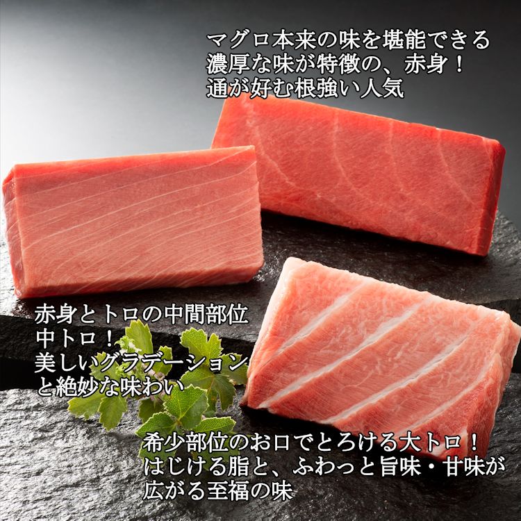 本鮪詰め合せ 計500g 大トロ・中トロ・赤身 刺身 寿司 マグロ丼 まぐろ