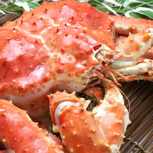 特大ボイル本タラバガニ足旨いカニ焼津直送無料のし作成無料
