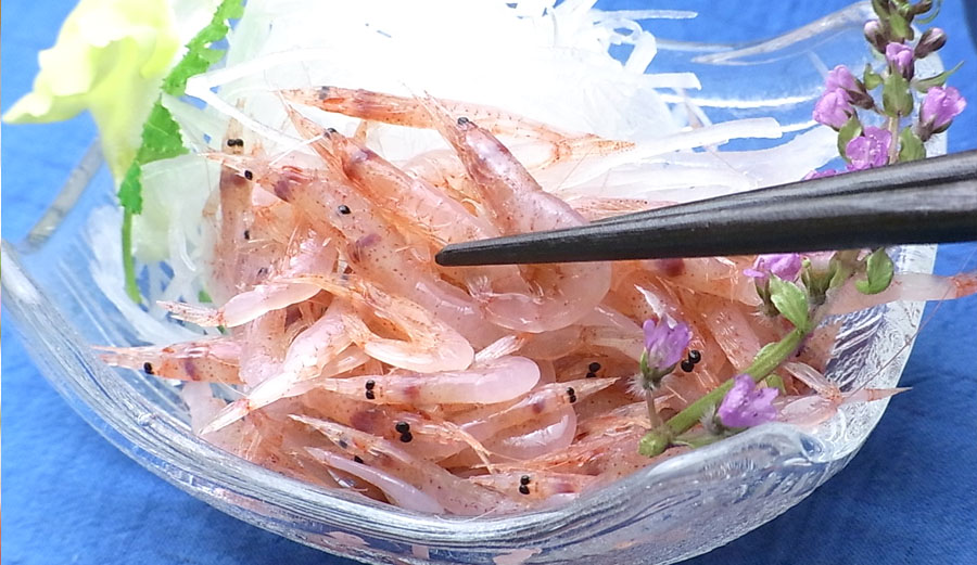 生桜海老（桜えび）140g 地元 静岡 駿河湾産 かき揚げ 母の日