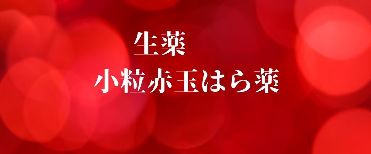 赤玉小粒はら薬 30丸×６包 2個セット【第2類医薬品】置き薬 配置薬 富山赤玉 和漢生薬 第一薬品工業 はら薬 下痢 食あたり 生薬  :008:yamazaki japan - 通販 - Yahoo!ショッピング