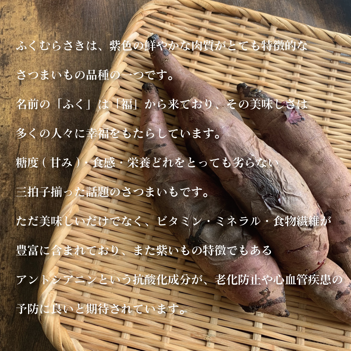 さつまいも 5kg ふくむらさき さつま芋 : やきいも専門店あづまや