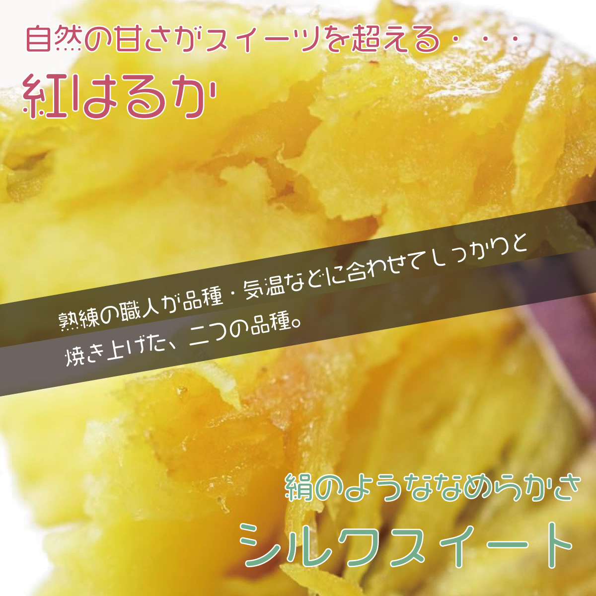 茨城県産 さつまいも 焼き芋 冷やし焼き芋 べにはるか シルクスイート