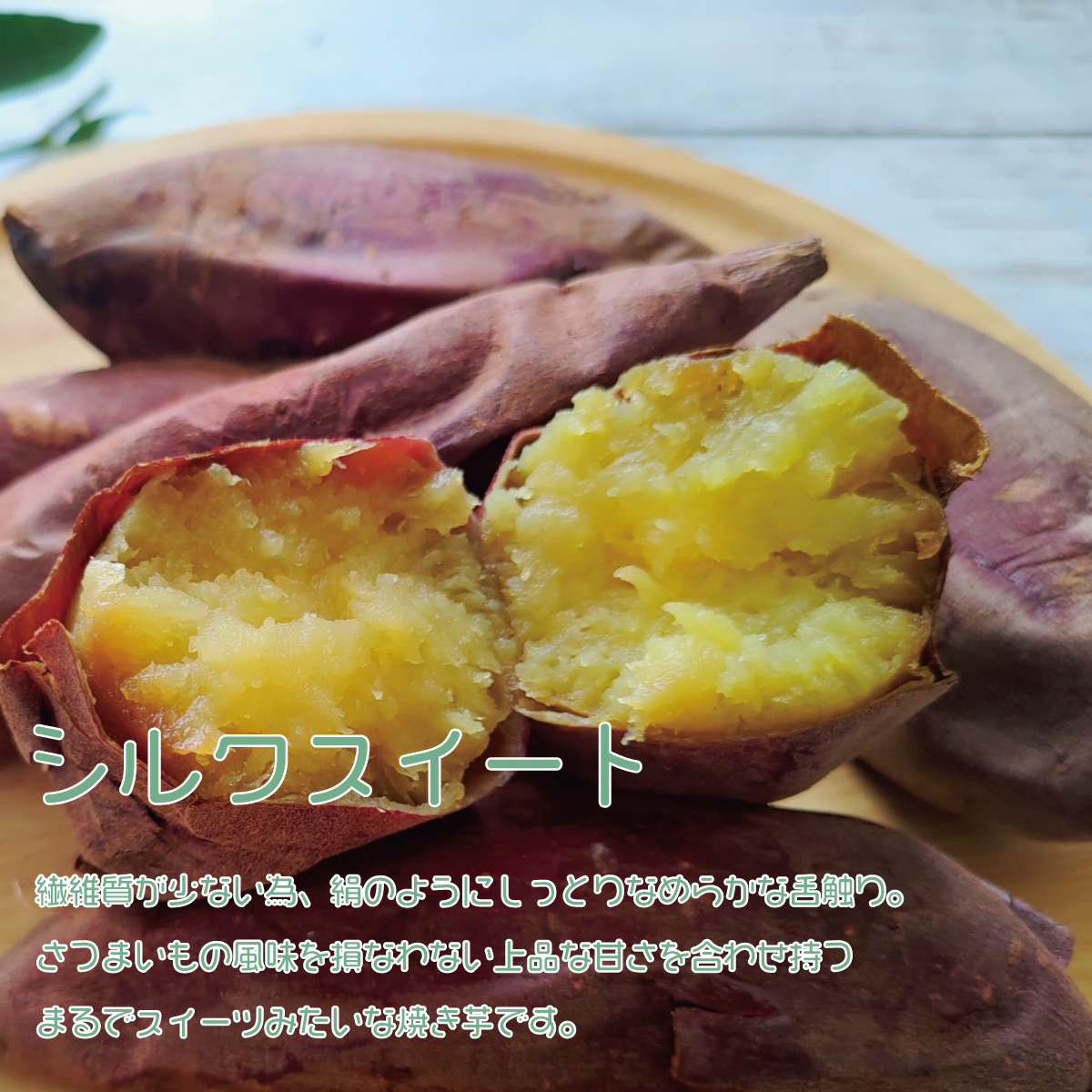 茨城県産 さつまいも 焼き芋 冷やし焼き芋 べにはるか シルクスイート