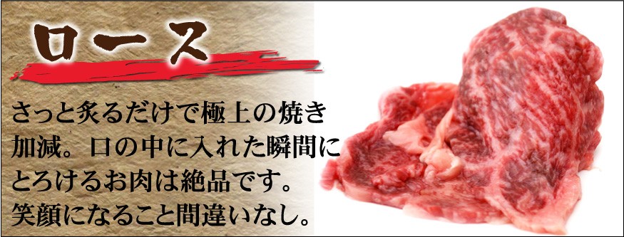 岡山　中村屋　バーベキューセット　送料無料
