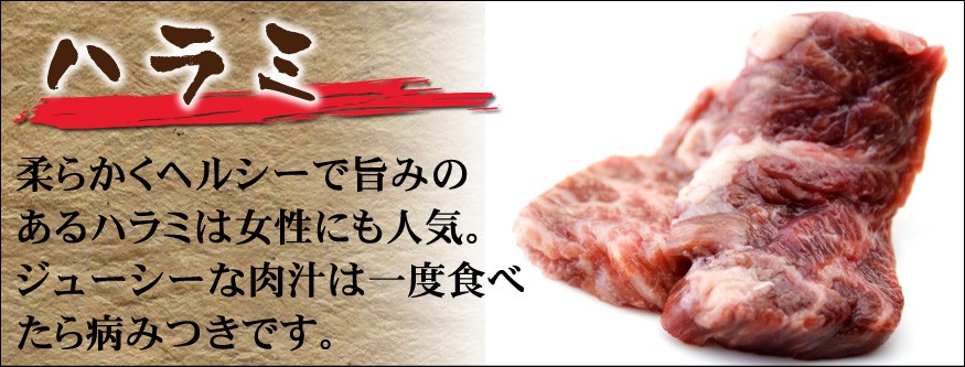 岡山　中村屋　バーベキューセット　送料無料