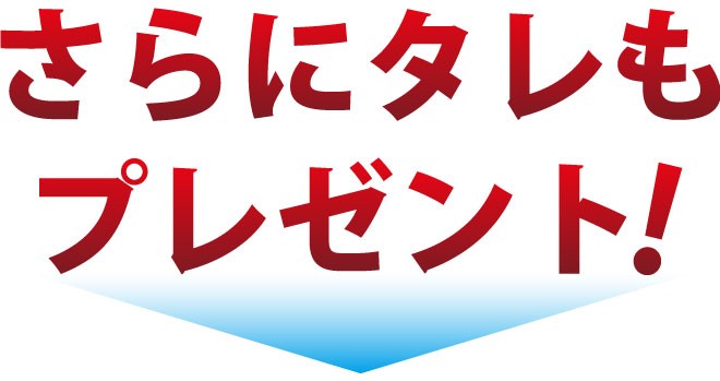 岡山　中村屋　バーベキューセット　送料無料