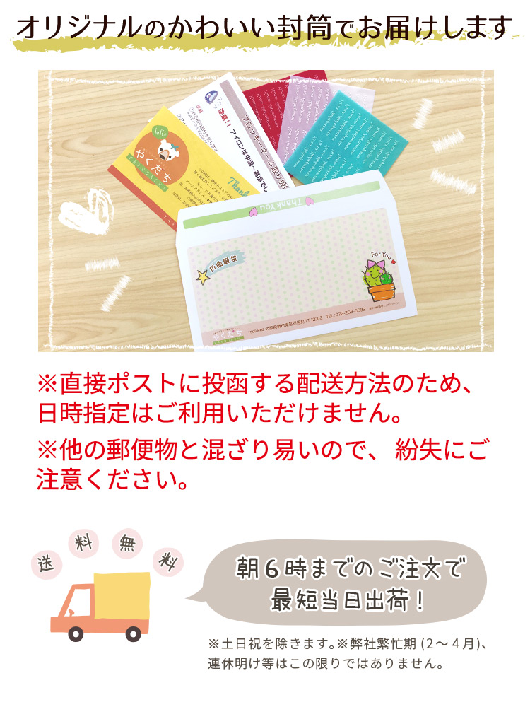 フロッキーネーム筆記体 標準サイズ