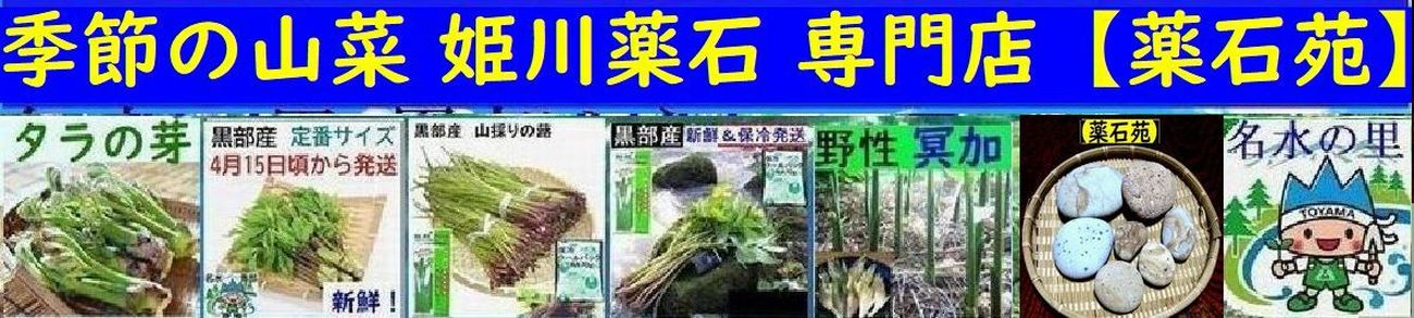糸魚川翡翠姫川薬石専門店 薬石苑 - Yahoo!ショッピング