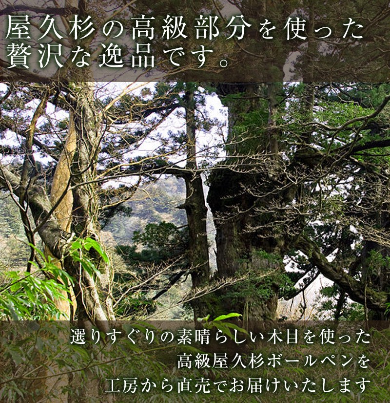 絶品 千年屋久杉の貴重な虎瘤杢/花台  (1点物) 屋久杉虎瘤杢入り一枚板 GR53 | GRAXEN JAPAN