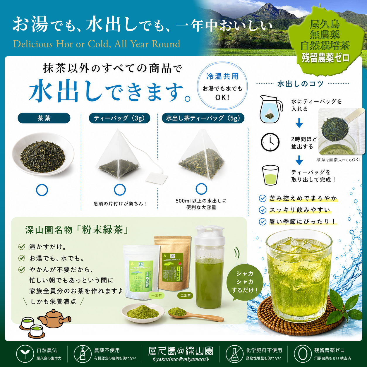水出し（冷温共用）【2026 有機 新茶】 無農薬お茶 緑茶 屋久島 自然