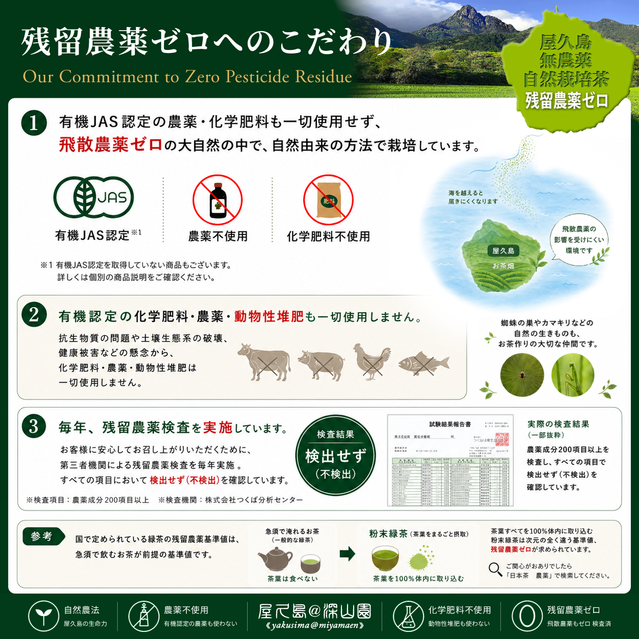 水出し（冷温共用）有機 無農薬 粉末緑茶 二番茶 120g×3 無化学肥料